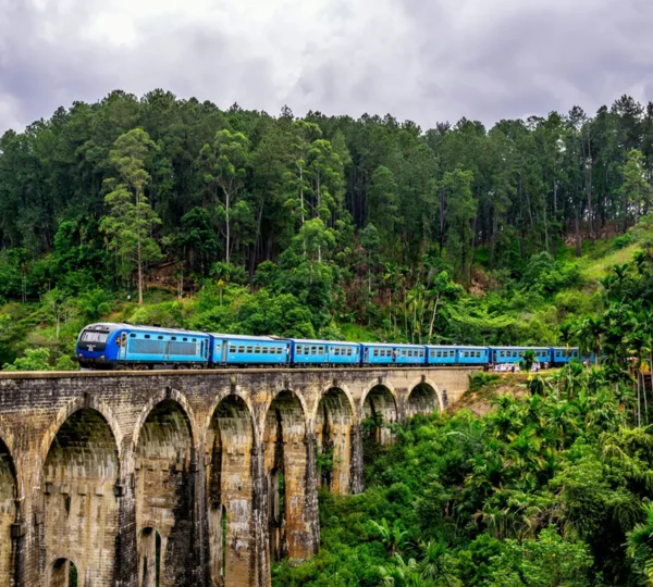 Northern Travels & Rent a car Pvt Ltd