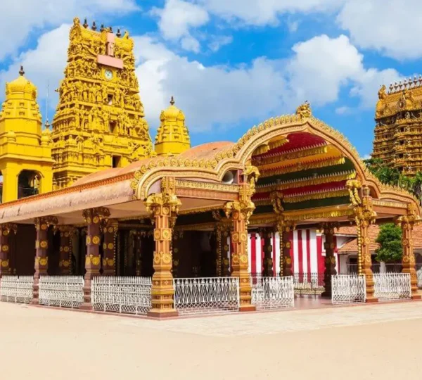 Northern Travels & Rent a car Pvt Ltd