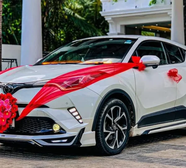 Northern Travels & Rent a car Pvt Ltd