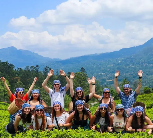 Northern Travels & Rent a car Pvt Ltd